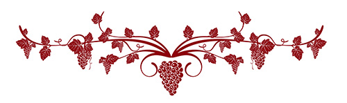 wa tempranillo vine grapes illustration